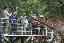 Hanya Membayar Rp.78,- Menggunakan QRIS, Wisatawan Bisa Berlibur di KBS