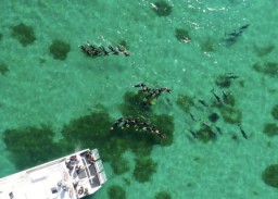 Australia Barat Tempat Liburan Asik Bagi Para Petualang