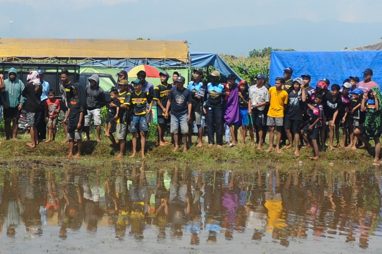 Kerapan Sapi Brujul. (Foto: Sahlan Kurniawan/Jelajah Nusantara)