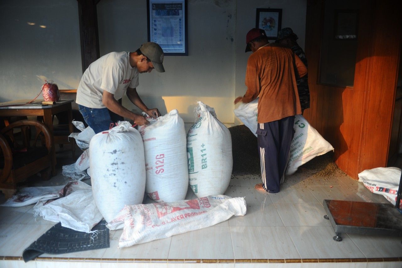 Kopi Indonesia Makin Mendunia. (Foto: Sahlan Kurniwan/Jelajah NUsantara)