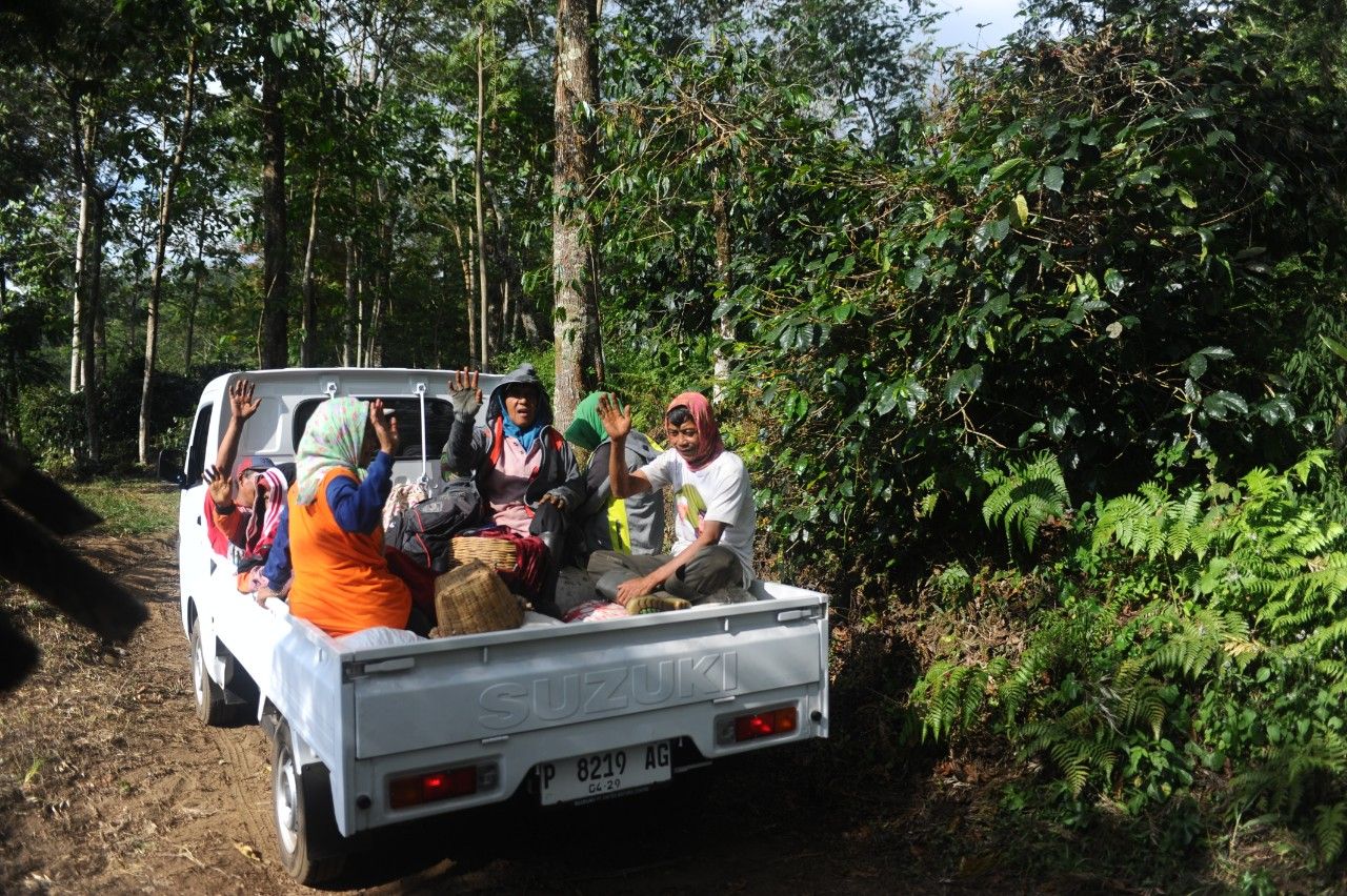Kopi Indonesia Makin Mendunia. (Foto: Sahlan Kurniwan/Jelajah NUsantara)