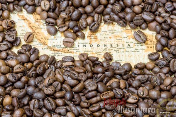 Sejarah Kopi Di Indonesia