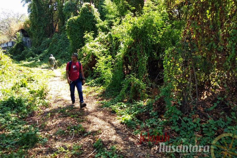 Traveling ke Alam Terbuka Dapat Berdampak Positif Bagi Kesehatan Mental