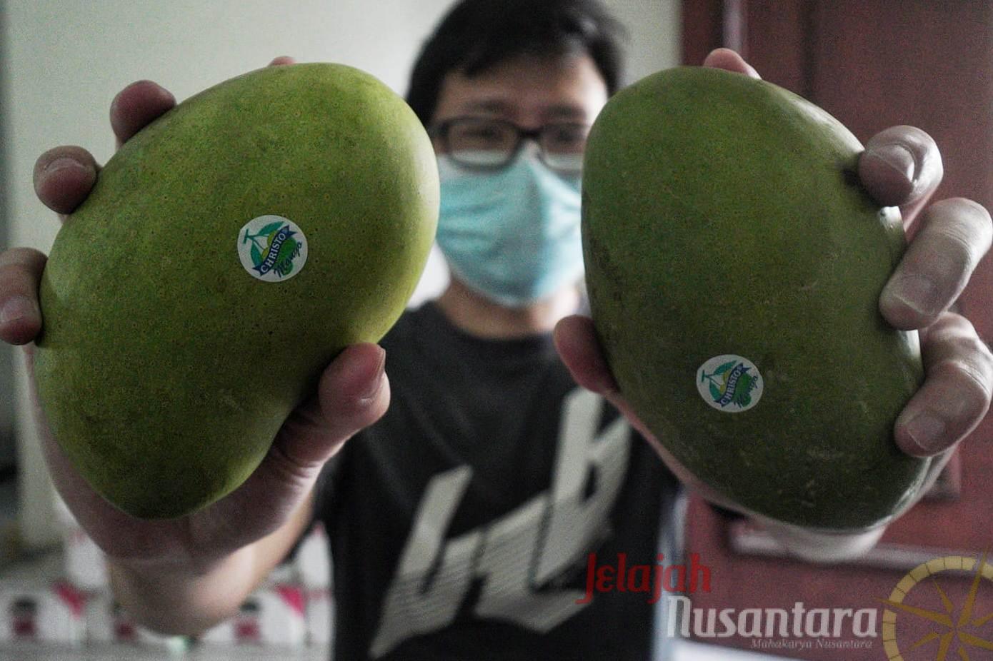 Manisnya Mangga “Christo Mango” Bikin Lidah Ketagihan
