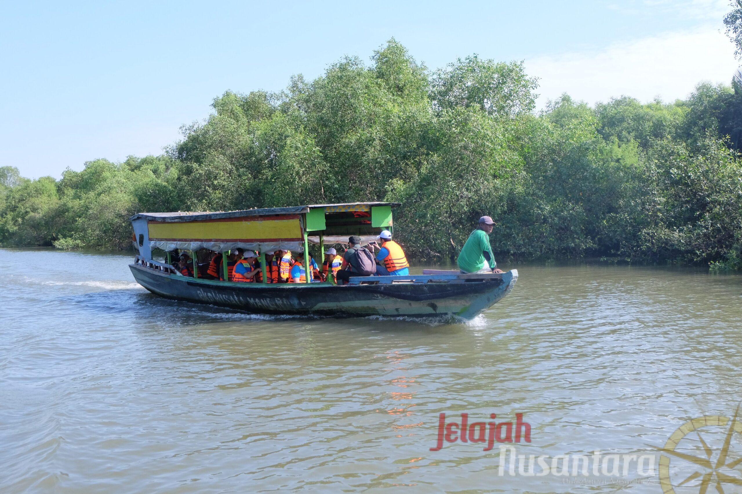 Percantik Ekowisata Mangrove,  Asuransi Astra Tanam 5.000 Bibit Pohon Mangrove