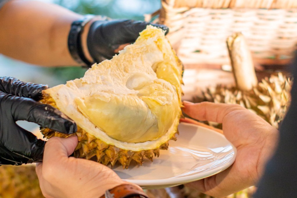 Pengen Bisa Menikmati Kelezatan Durian Sepuasnya di Vasa Hotel Surabaya, Ini Caranya ...