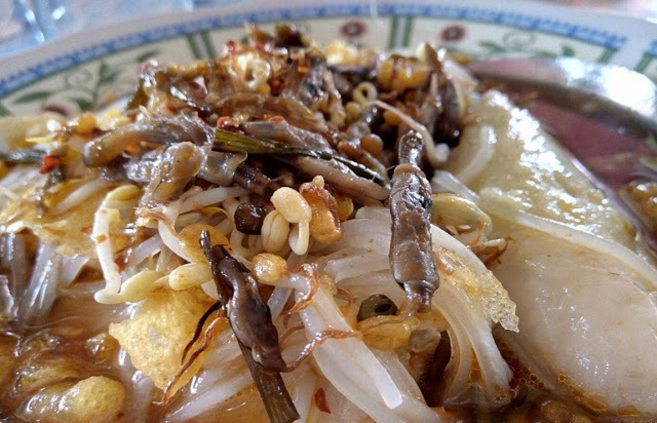 Campur Lorjuk
