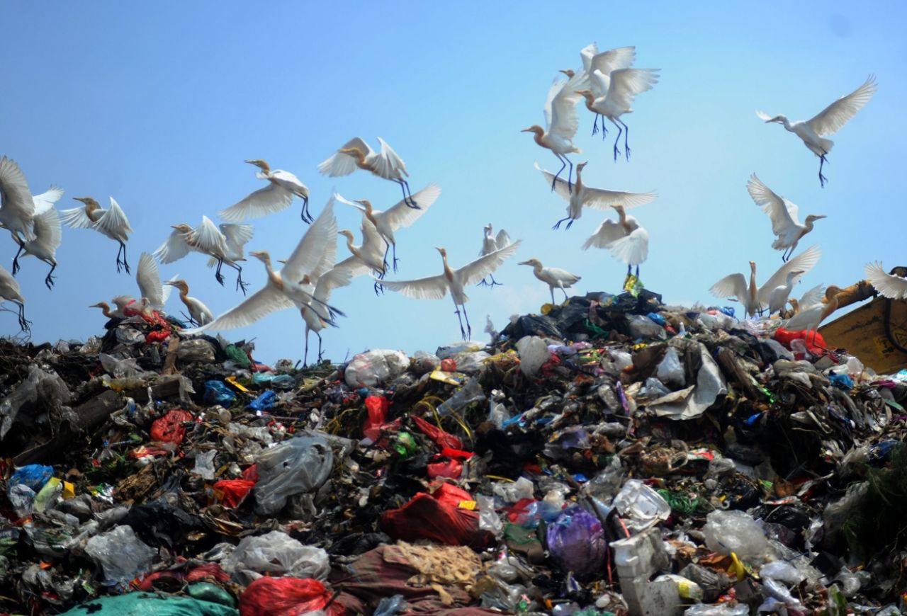 Belanja Online Makin Praktis, Tapi Sampah Plastik Mengintai