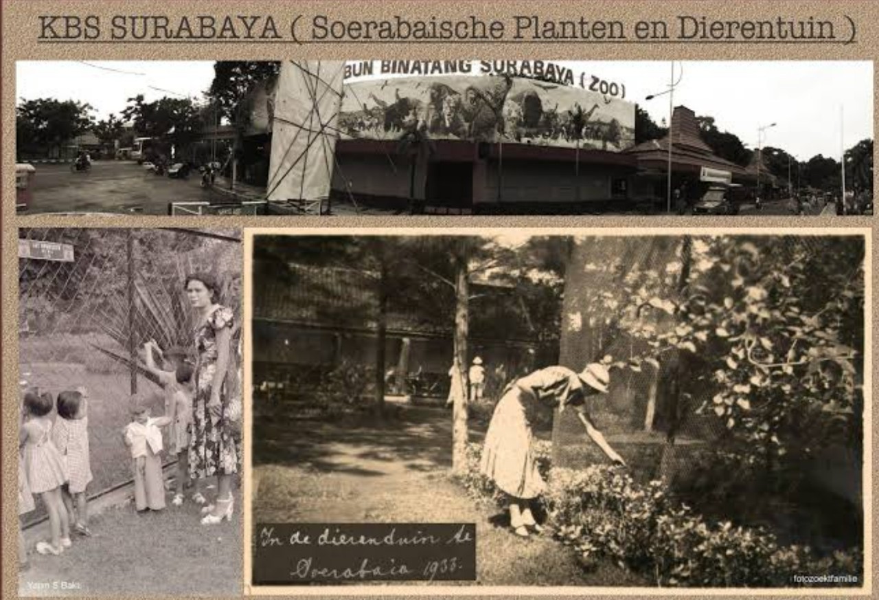Kebun Binatang Surabaya (KBS) tempoe doeloe (Foto: Dokumen Negara)